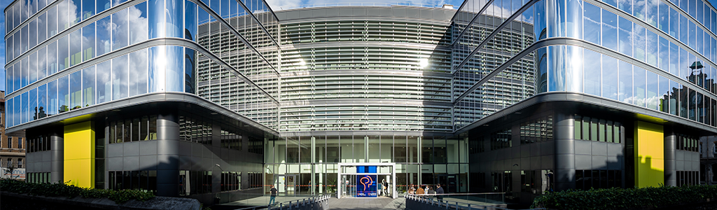 Banniere-institut-du-cerveau