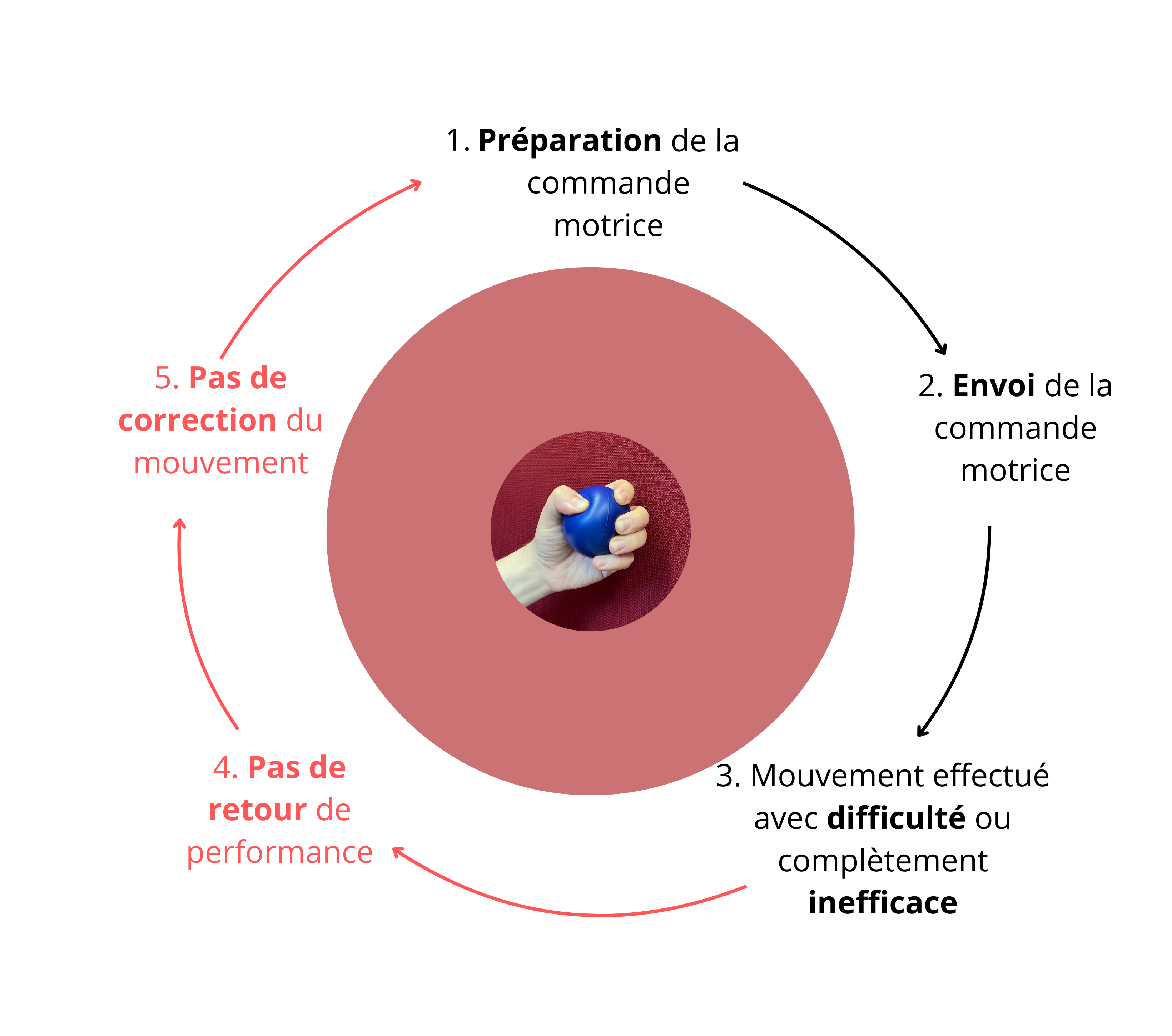 préparation de la commande motrice-16